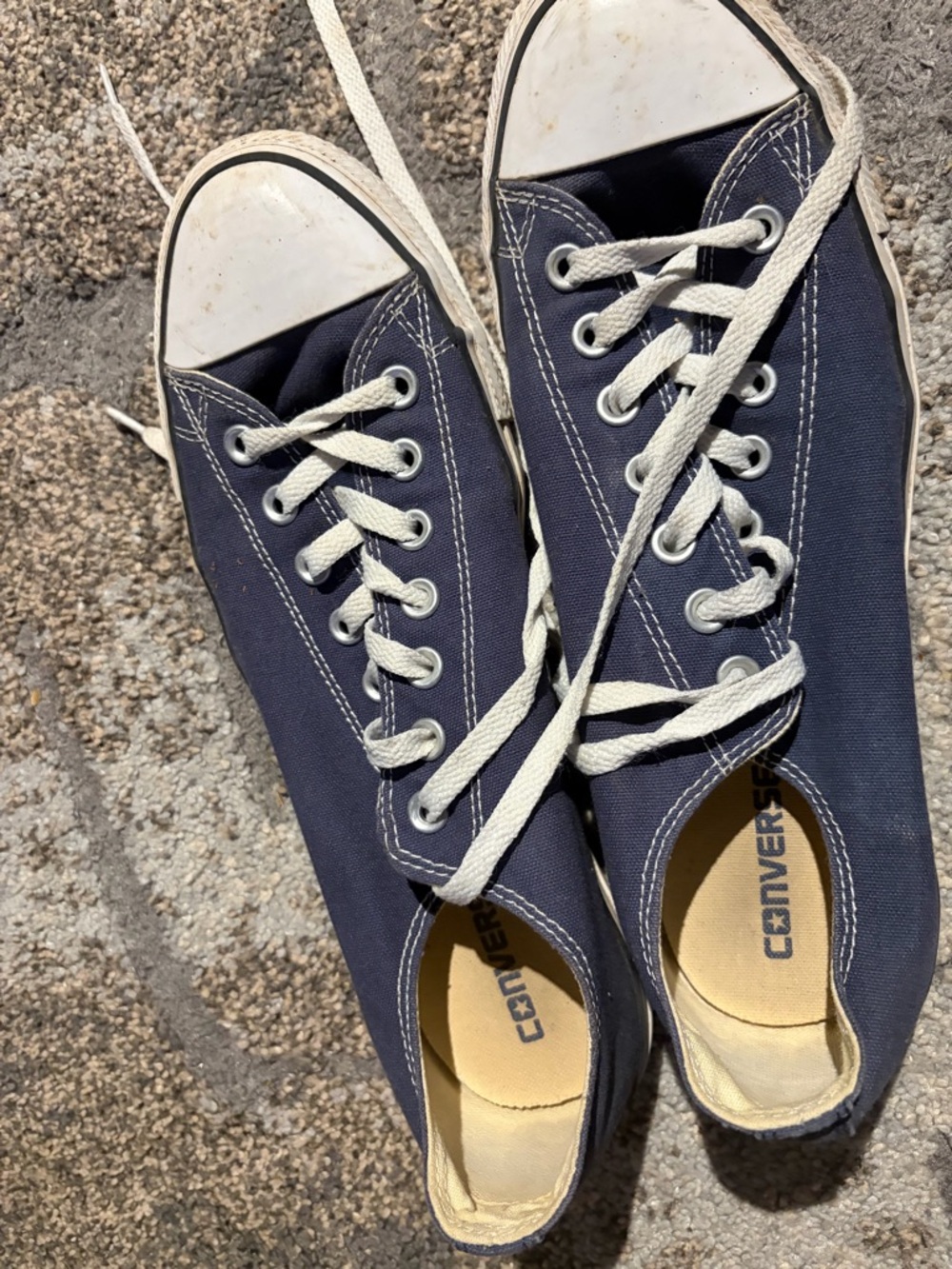 Converse Navy and White Low-Top Canvas Sneakers